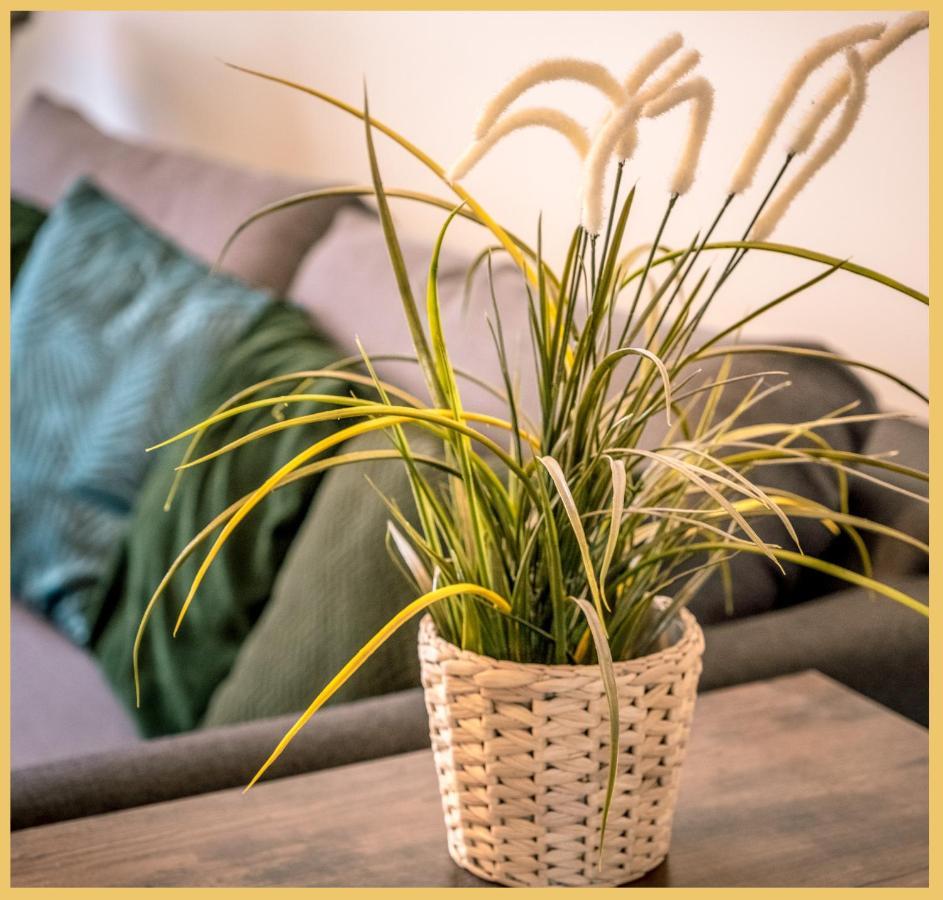 Appartement T3 I Cozy I Douvaine Exterior foto